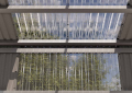 SALUX® BIO LINE® Trapezplatte | 20/1100LR | Dach | Länge: 8000 mm | Farbe: Klar | Stärke: 1,4 mm | Breite: 1144 mm #3