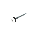 PAN-Torx Schrauben | 4,8 x 60 mm | Weiß (RAL 9016)| 100 Stück | Selbstschneidend #1