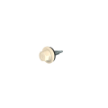 SKÜ-Schrauben | 4,8 x 20 mm | 100 Stück | RAL 1015 Hellelfenbein #1