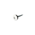 TTAP Schrauben | 4,8 x 35 mm | 100 Stück | RAL 9010 Reinweiß #1