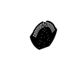 Firstendscheibe | Gelocht | Stahl 0,50 mm | 35 µm Mattpolyester | 33 Schwarz | für Pfannenbleche #1