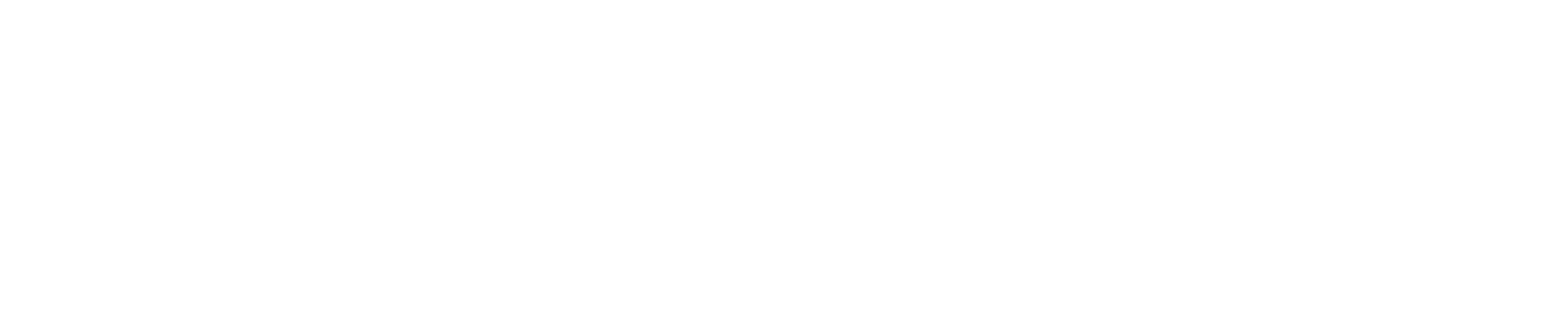 SALUX Logo
