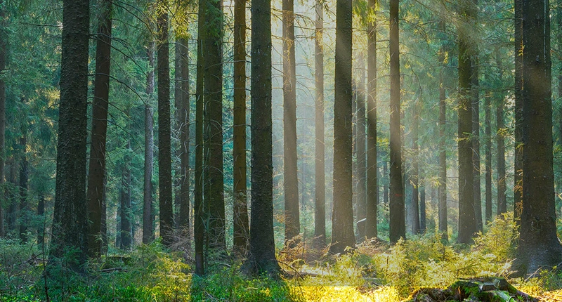 Nachhaltigkeit Banner Mobile