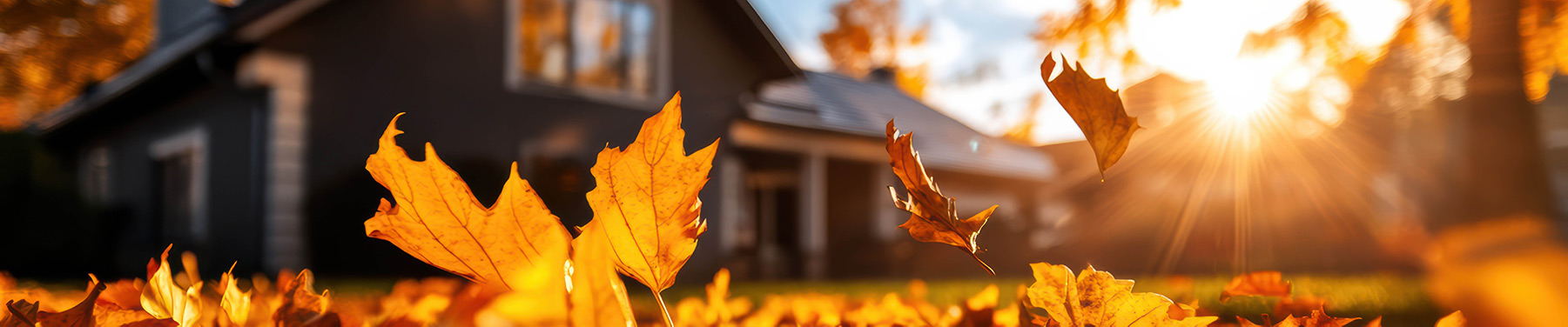 Goldener Herbst Goldener Herbst