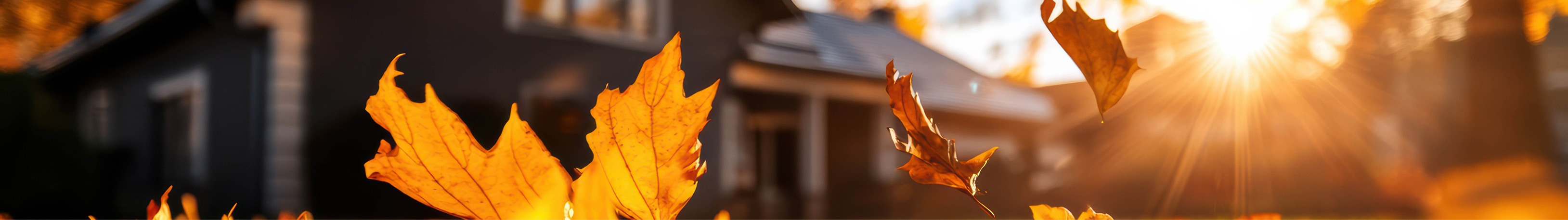 Goldener Herbst Goldener Herbst